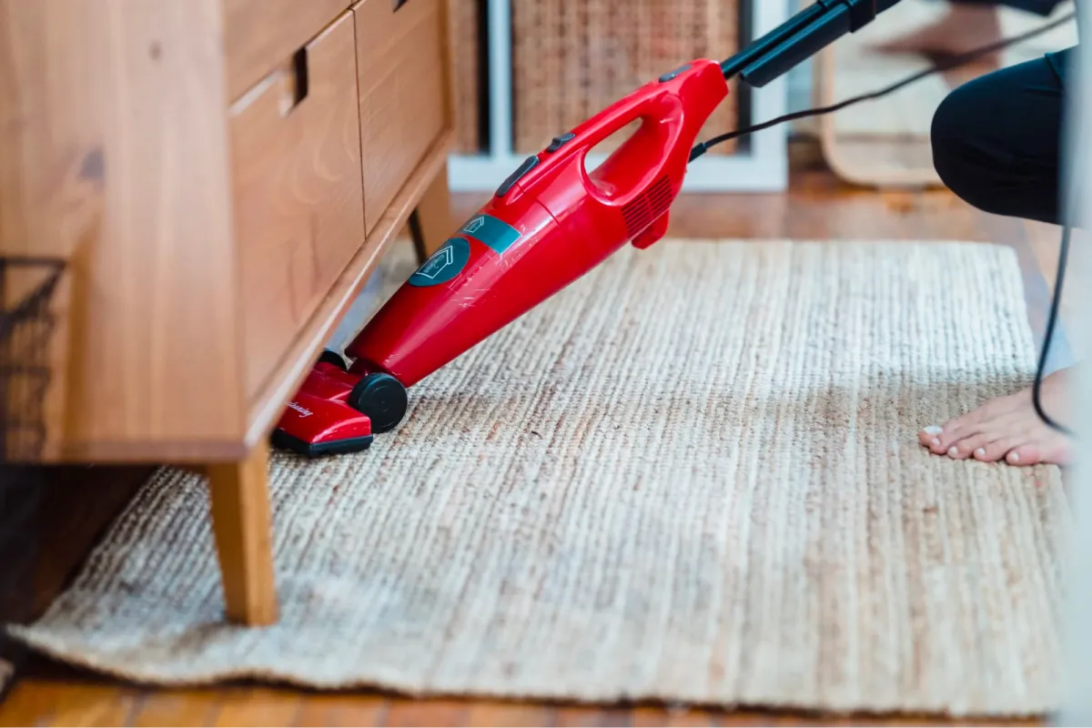 Deep Clean Your House in One Day