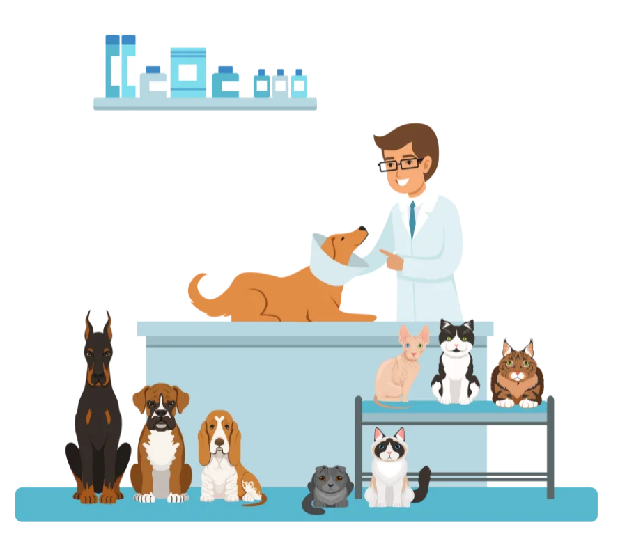 img-veterinary-clinic-cleaning.png